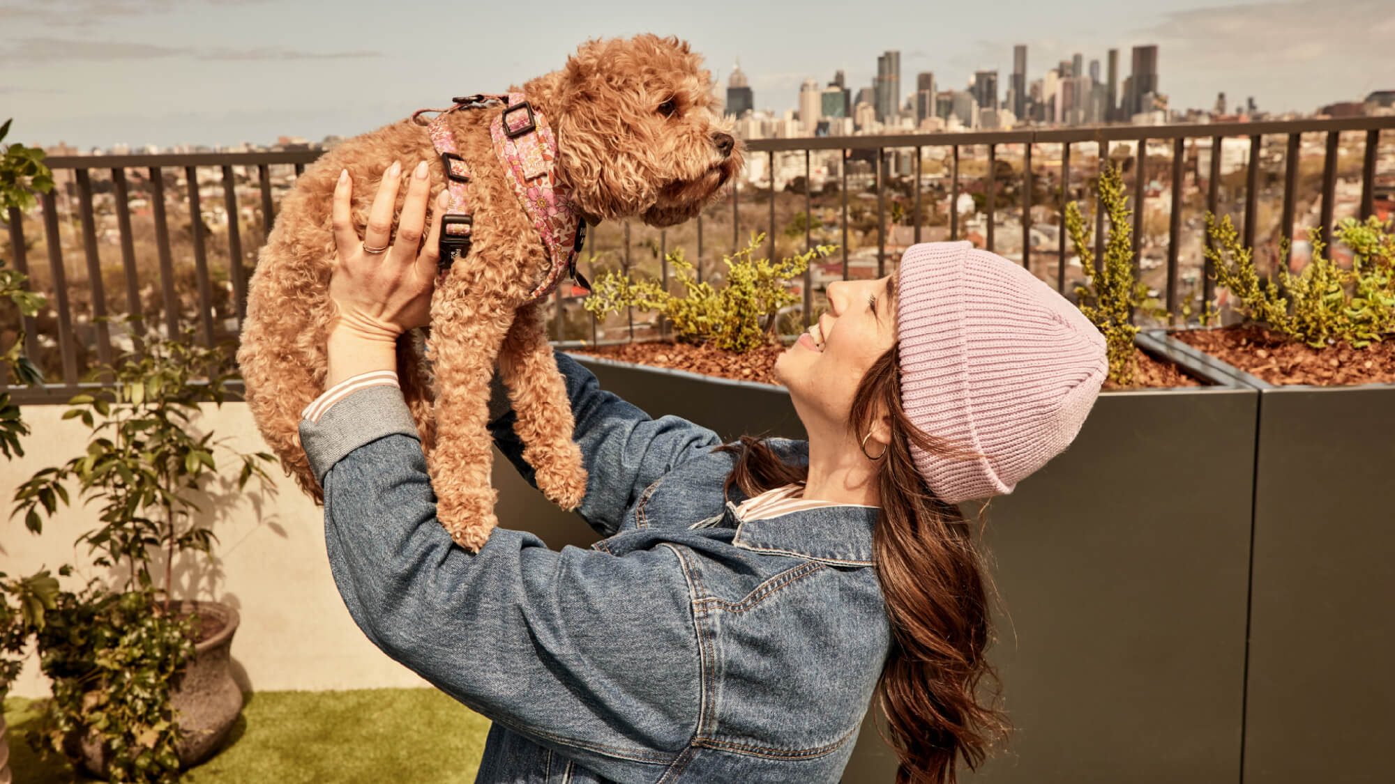 City views – rooftop garden.